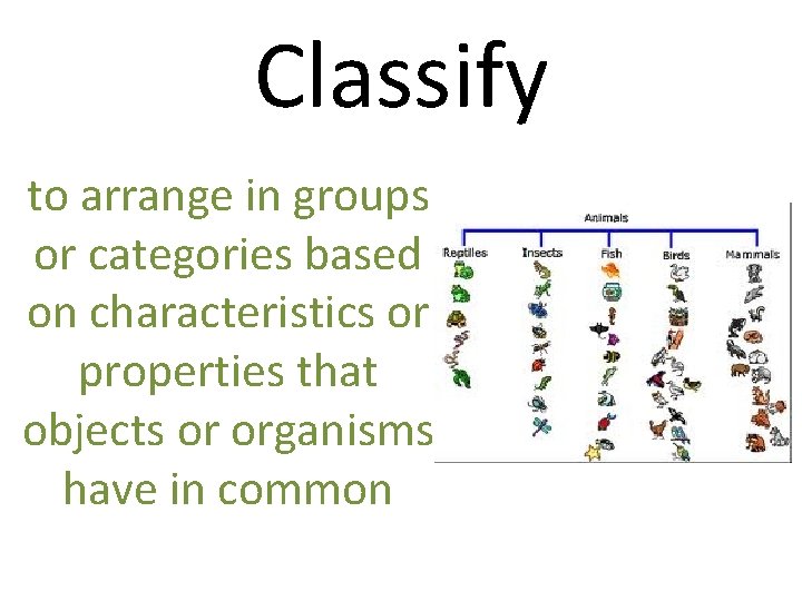 Classify to arrange in groups or categories based on characteristics or properties that objects