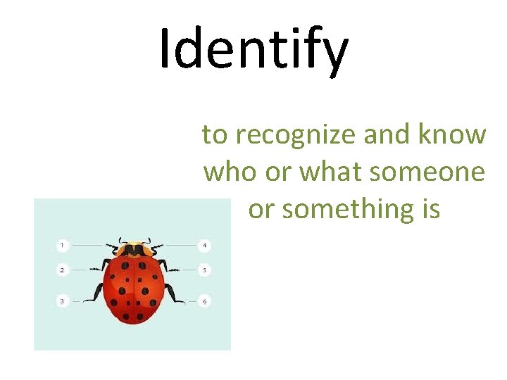 Identify to recognize and know who or what someone or something is 