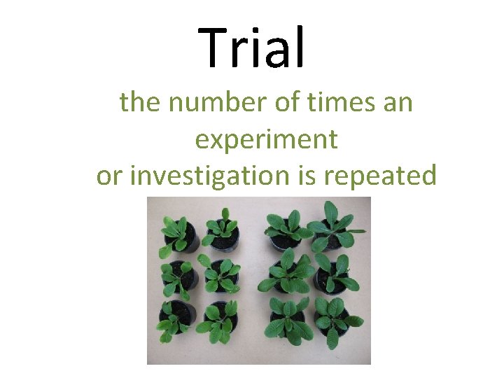Trial the number of times an experiment or investigation is repeated 