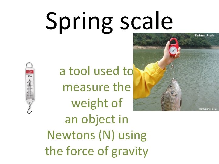 Spring scale a tool used to measure the weight of an object in Newtons