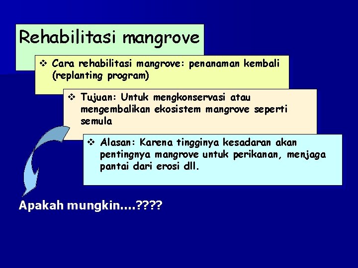 Rehabilitasi mangrove v Cara rehabilitasi mangrove: penanaman kembali (replanting program) v Tujuan: Untuk mengkonservasi