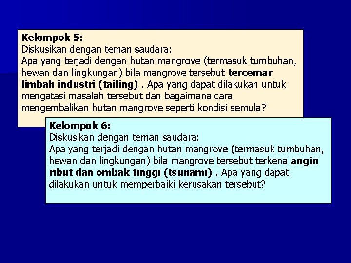 Kelompok 5: Diskusikan dengan teman saudara: Apa yang terjadi dengan hutan mangrove (termasuk tumbuhan,