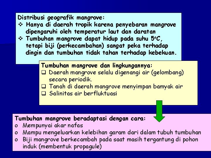 Distribusi geografik mangrove: v Hanya di daerah tropik karena penyebaran mangrove dipengaruhi oleh temperatur