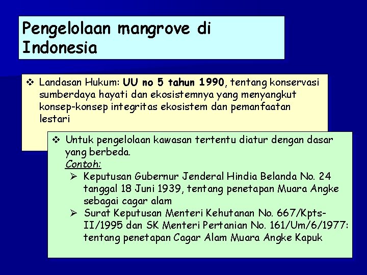 Pengelolaan mangrove di Indonesia v Landasan Hukum: UU no 5 tahun 1990, tentang konservasi