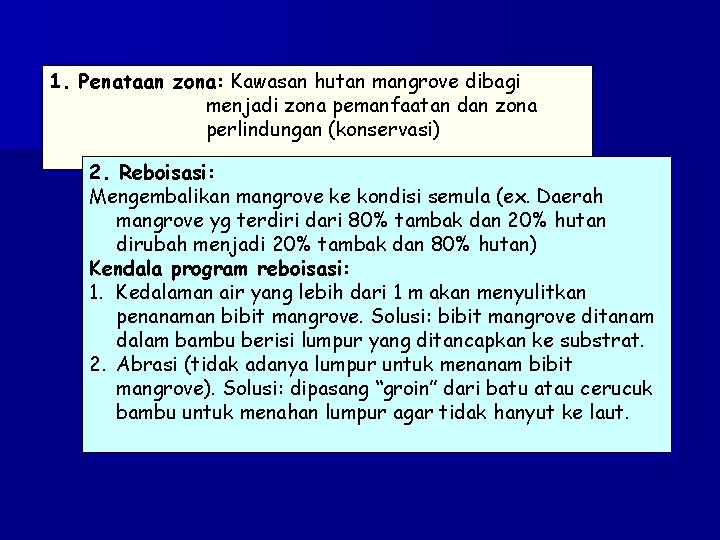 1. Penataan zona: Kawasan hutan mangrove dibagi menjadi zona pemanfaatan dan zona perlindungan (konservasi)