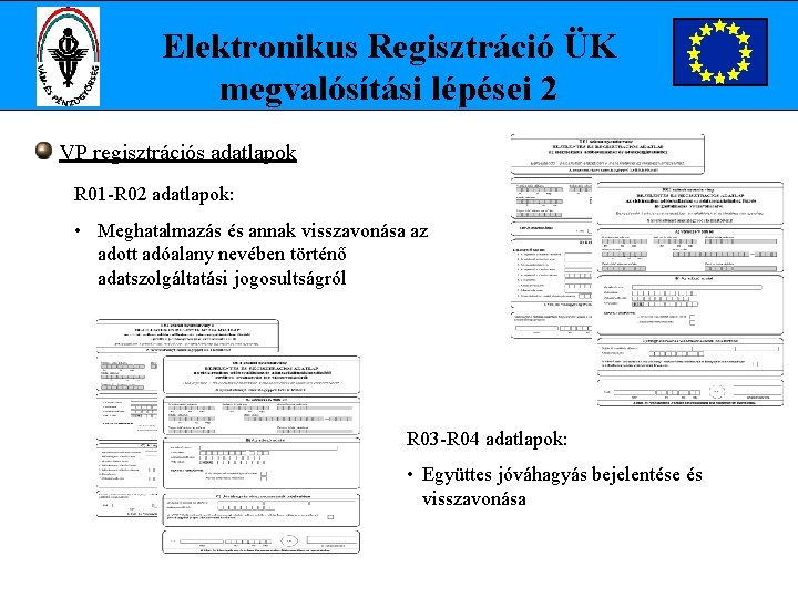 Elektronikus Regisztráció ÜK megvalósítási lépései 2 VP regisztrációs adatlapok R 01 -R 02 adatlapok: