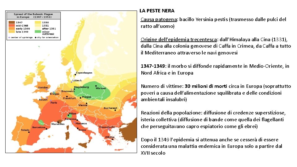 LA PESTE NERA Causa patogena: bacillo Yersinia pestis (trasmesso dalle pulci del ratto all’uomo)