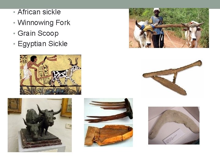  • African sickle • Winnowing Fork • Grain Scoop • Egyptian Sickle 
