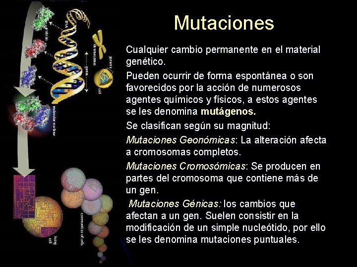 Mutaciones l l l Cualquier cambio permanente en el material genético. Pueden ocurrir de