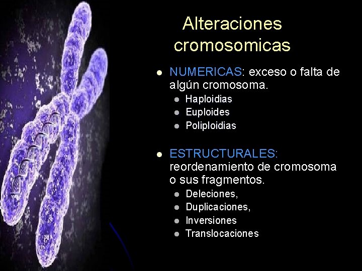 Alteraciones cromosomicas l NUMERICAS: exceso o falta de algún cromosoma. l l Haploidias Euploides