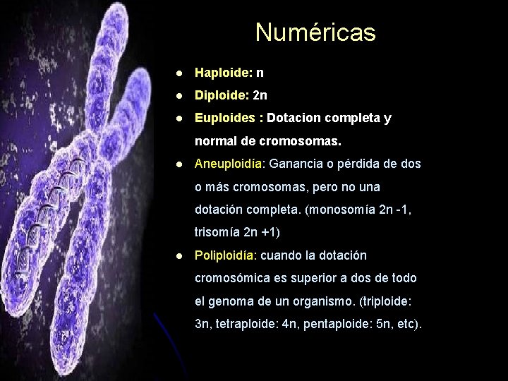 Numéricas l Haploide: n l Diploide: 2 n l Euploides : Dotacion completa y