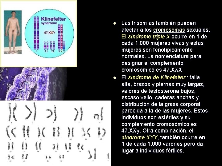 l l Las trisomías también pueden afectar a los cromosomas sexuales. El síndrome triple