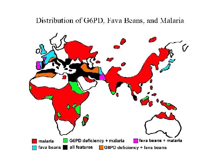 G 6 PD-Deficiency Distribution 