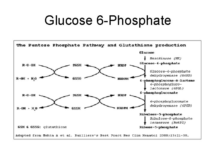 Glucose 6 -Phosphate 