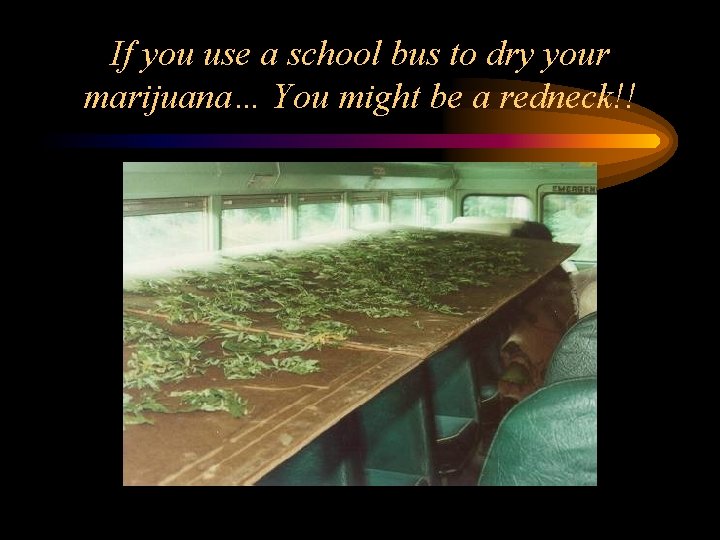 If you use a school bus to dry your marijuana… You might be a