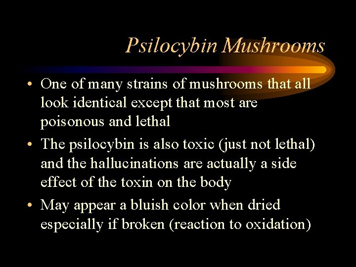Psilocybin Mushrooms • One of many strains of mushrooms that all look identical except