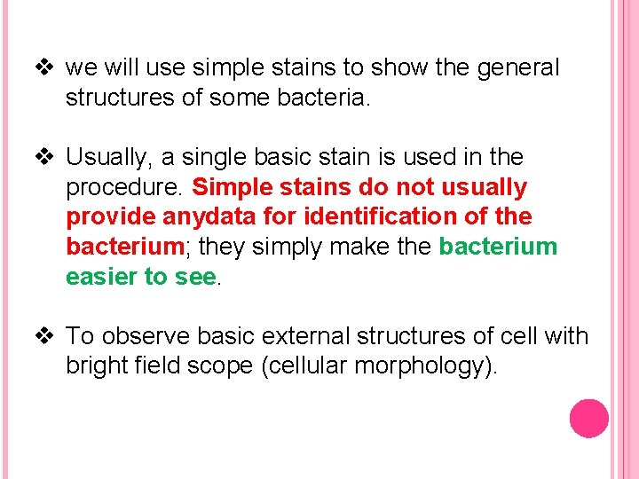 v we will use simple stains to show the general structures of some bacteria.