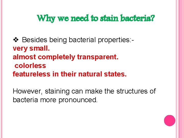 Why we need to stain bacteria? v Besides being bacterial properties: very small. almost