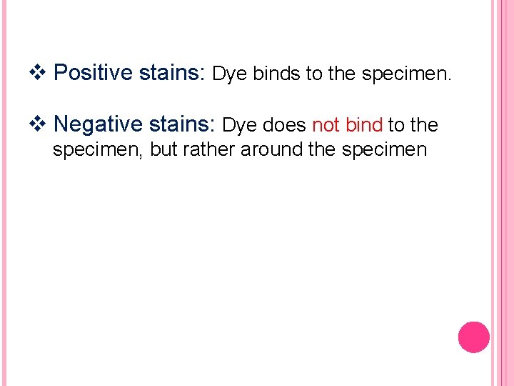 v Positive stains: Dye binds to the specimen. v Negative stains: Dye does not v Positive stains: Dye binds to the specimen. v Negative stains: Dye does not