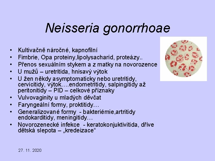 Neisseria gonorrhoae • • • Kultivačně náročné, kapnofilní Fimbrie, Opa proteiny, lipolysacharid, proteázy. .