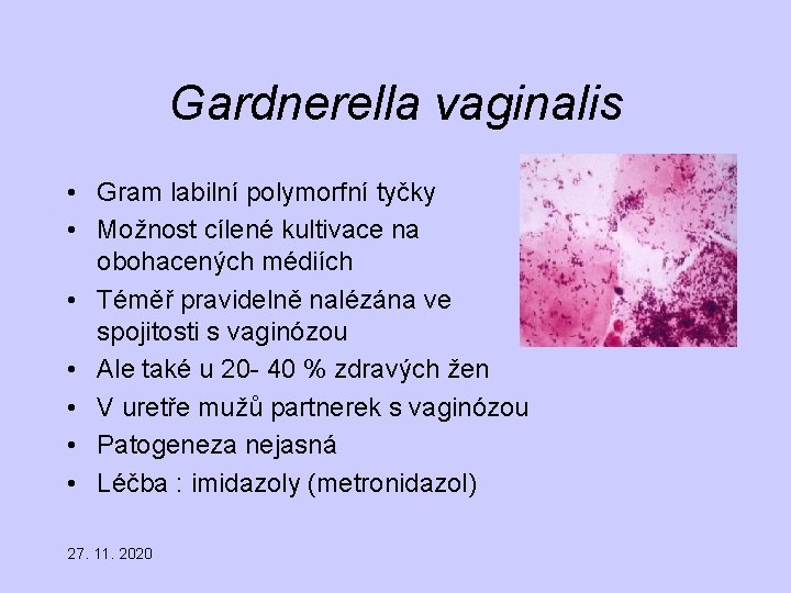 Gardnerella vaginalis • Gram labilní polymorfní tyčky • Možnost cílené kultivace na obohacených médiích