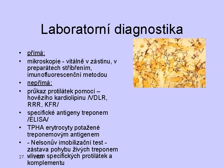 Laboratorní diagnostika • přímá: • mikroskopie - vitálně v zástinu, v preparátech stříbřením, imunofluorescenční