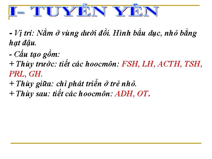 - Vị trí: Nằm ở vùng dưới đồi. Hình bầu dục, nhỏ bằng hạt