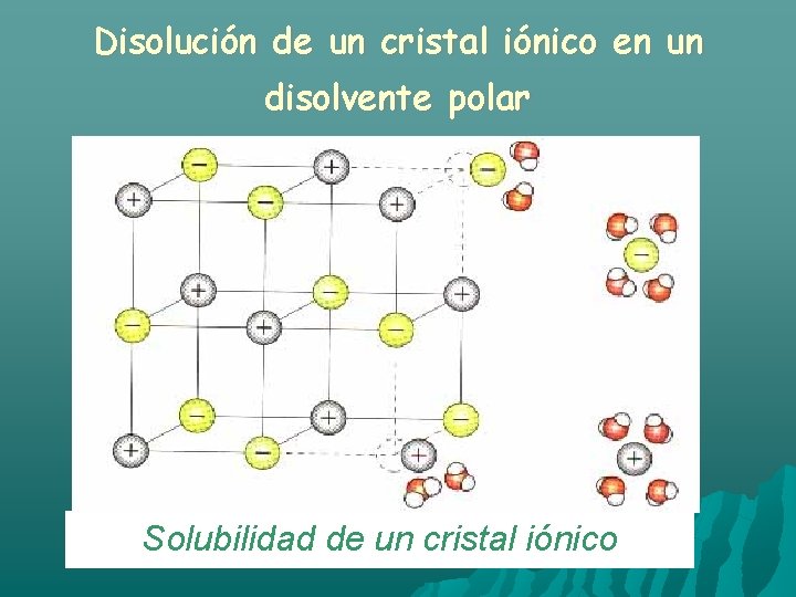 Disolución de un cristal iónico en un disolvente polar Solubilidad de un cristal iónico