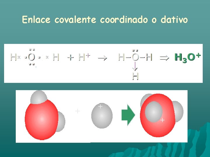 Enlace covalente coordinado o dativo + + + 