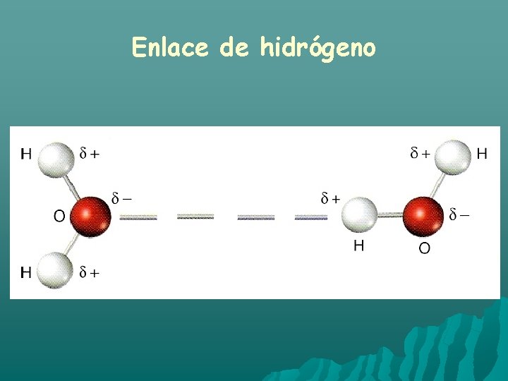 Enlace de hidrógeno 
