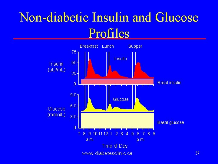 Non-diabetic Insulin and Glucose Profiles Breakfast Lunch Supper 75 Insulin (µU/m. L) 50 Insulin