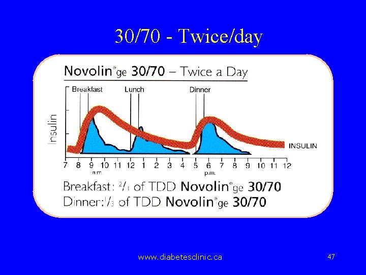 30/70 - Twice/day www. diabetesclinic. ca 47 