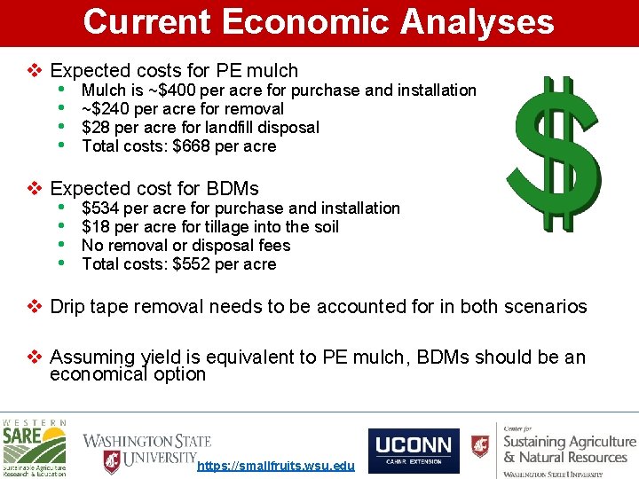 Current Economic Analyses v Expected costs for PE mulch • Mulch is ~$400 per