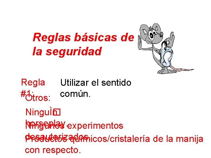 Reglas básicas de la seguridad Regla Utilizar el sentido #1: común. Otros: NinguÌ� n