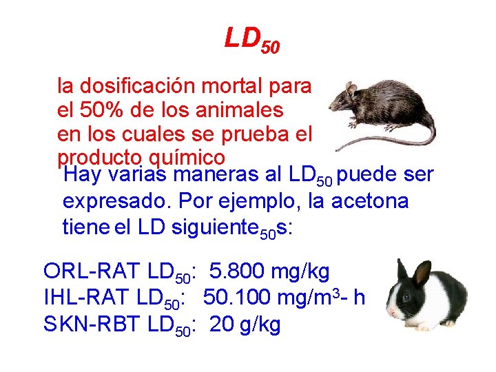 LD 50 la dosificación mortal para el 50% de los animales en los cuales