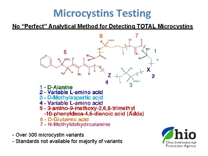 Microcystins Testing No “Perfect” Analytical Method for Detecting TOTAL Microcystins - Over 300 microcystin