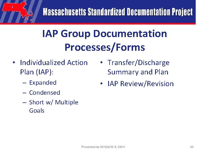 IAP Group Documentation Processes/Forms • Individualized Action Plan (IAP): – Expanded – Condensed –