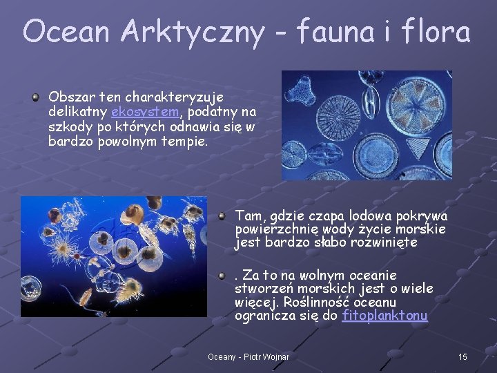 Ocean Arktyczny - fauna i flora Obszar ten charakteryzuje delikatny ekosystem, podatny na szkody