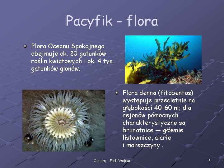 Pacyfik - flora Flora Oceanu Spokojnego obejmuje ok. 20 gatunków roślin kwiatowych i ok.
