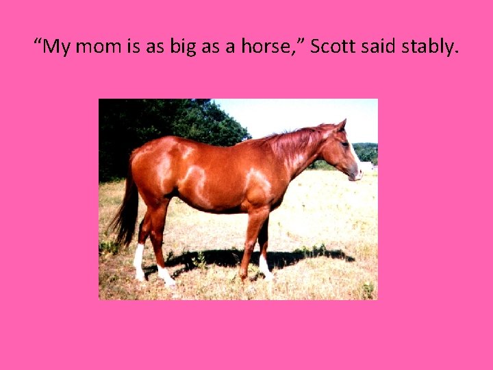 “My mom is as big as a horse, ” Scott said stably. 