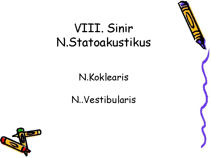 VIII. Sinir N. Statoakustikus N. Koklearis N. . Vestibularis 