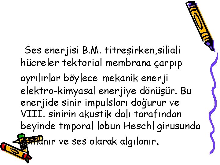 Ses enerjisi B. M. titreşirken, siliali hücreler tektorial membrana çarpıp ayrılırlar böylece mekanik enerji