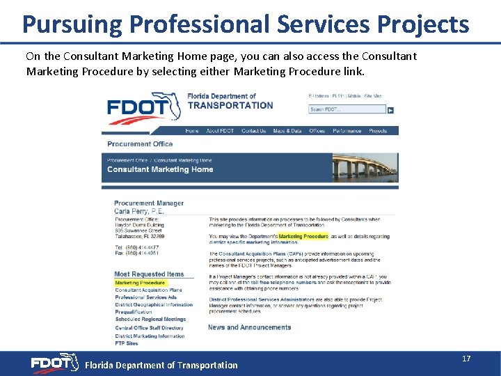 Pursuing Professional Services Projects On the Consultant Marketing Home page, you can also access