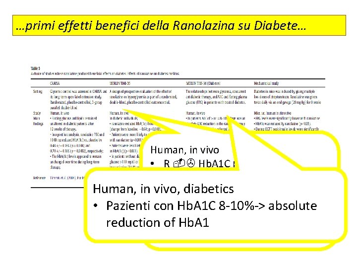 …primi effetti benefici della Ranolazina su Diabete… Human, in vivo • R -> Hb.