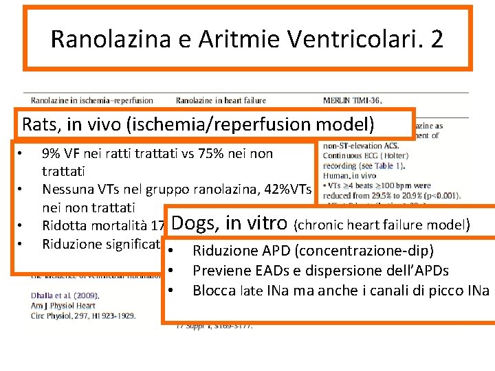 Ranolazina e Aritmie Ventricolari. 2 Rats, in vivo (ischemia/reperfusion model) • • 9% VF