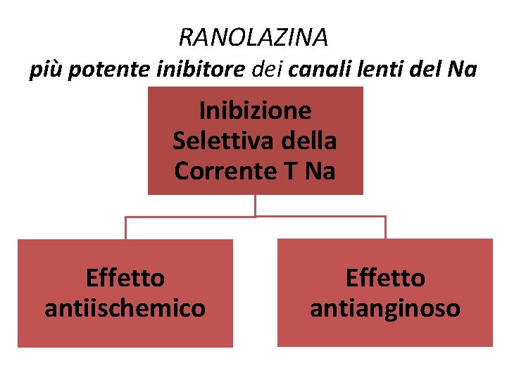 RANOLAZINA più potente inibitore dei canali lenti del Na Inibizione Selettiva della Corrente T