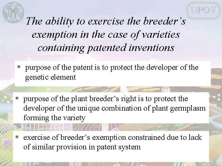 The ability to exercise the breeder’s exemption in the case of varieties containing patented
