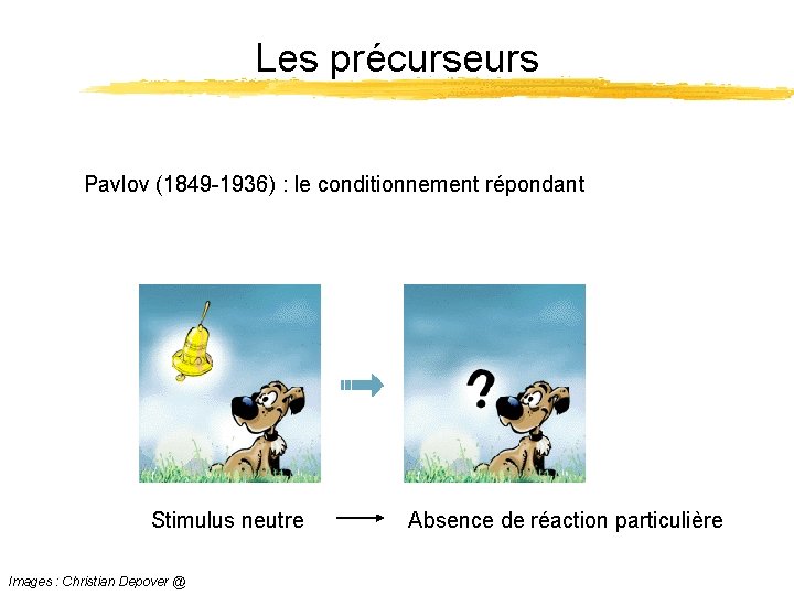 Les précurseurs Pavlov (1849 -1936) : le conditionnement répondant Stimulus neutre Images : Christian