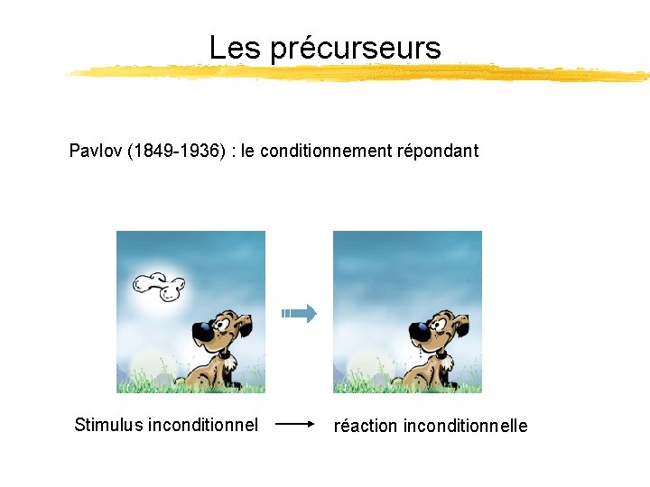 Les précurseurs Pavlov (1849 -1936) : le conditionnement répondant Stimulus inconditionnel réaction inconditionnelle 