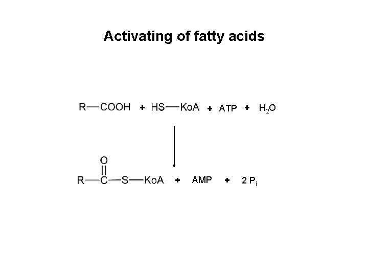 Activating of fatty acids + + ATP + H 2 O + AMP +